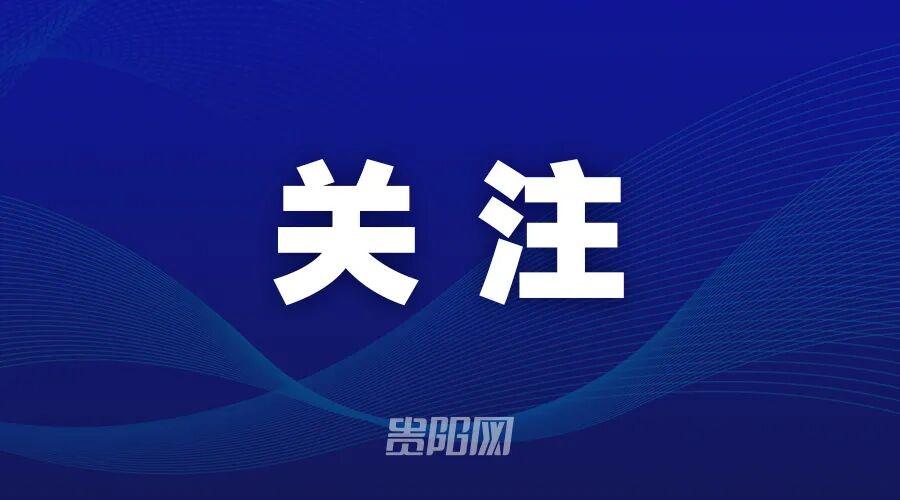 卢卡库替补登场22秒造乌龙 比利时1